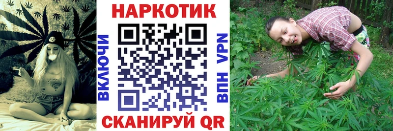 Купить закладку Конопля  МЕФ  Гашиш  Мичуринск
