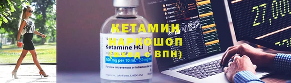 твердый Коряжма