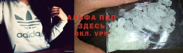 твердый Коряжма