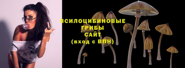 таблы Костерёво