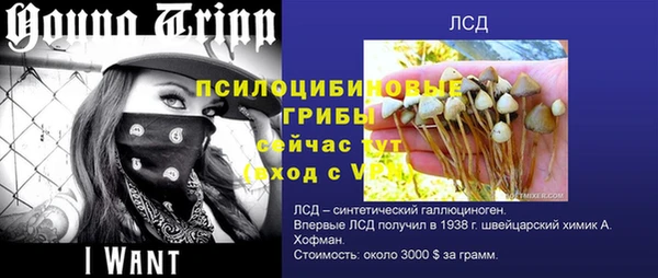 твердый Коряжма