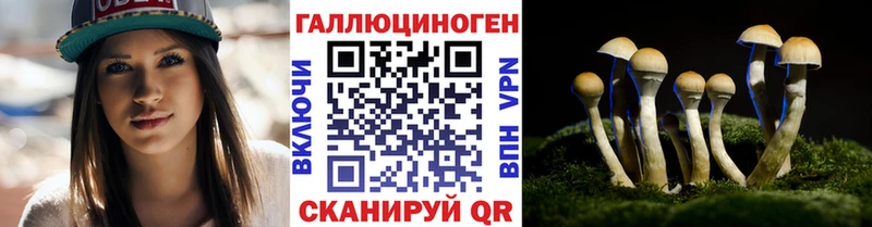 Псилоцибиновые грибы ЛСД  Купить где  Мичуринск 